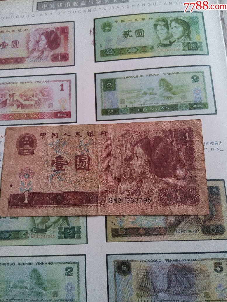 一元人民币等于多少贝壳币_彩贝壳一贝壳等于多少人民币