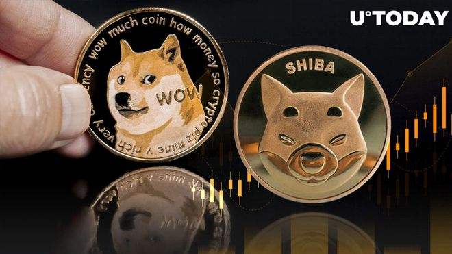 狗狗币目前价_狗狗币目前价格