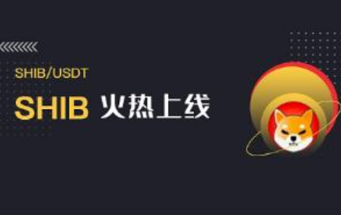 关于屎币中文社区的信息