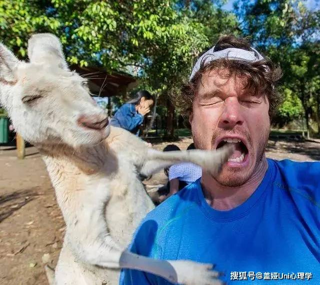 各种动物的交流方式_生活中你还知道哪些动物的交流方法?