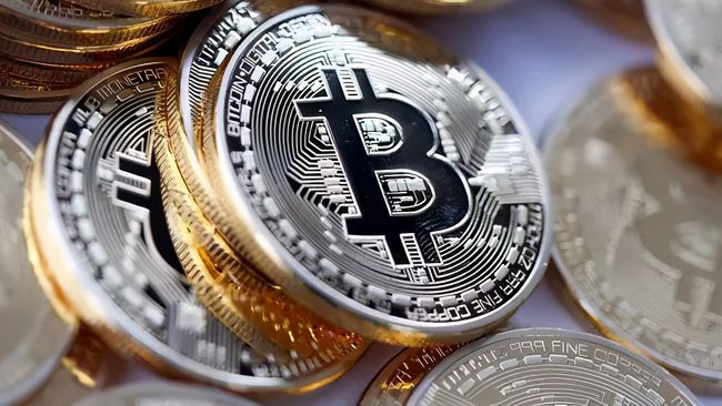 新比特币_新比特币nbtc下载