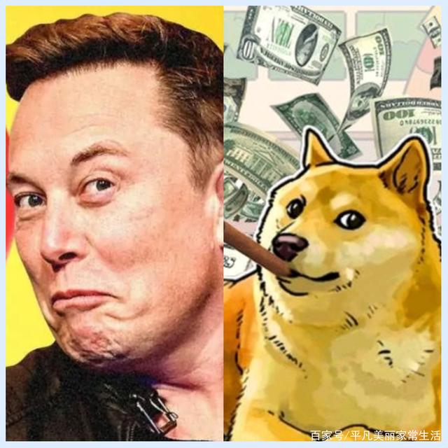再买狗狗币_我要买狗狗币