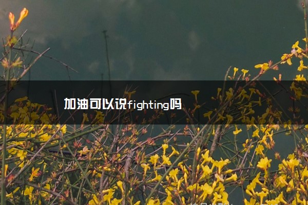 加油能用fighting吗_加油的英语可以用fighting吗