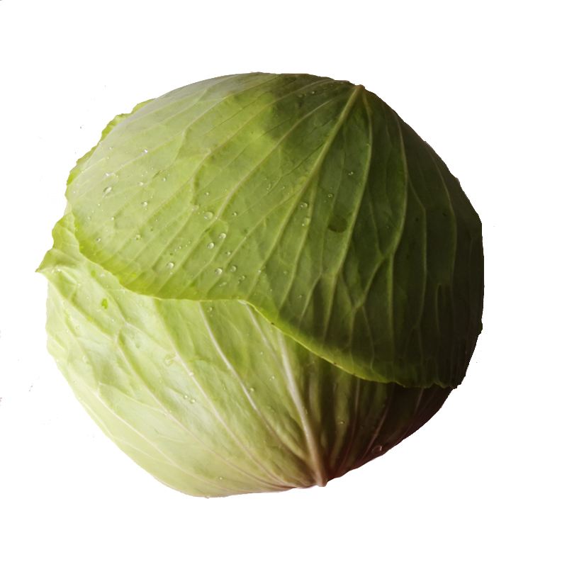 莲花白_莲花白泡菜的腌制方法