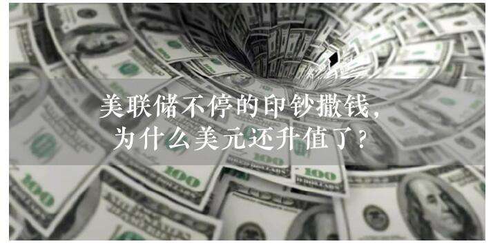 为什么美元一直涨_美元最近一直涨的原因