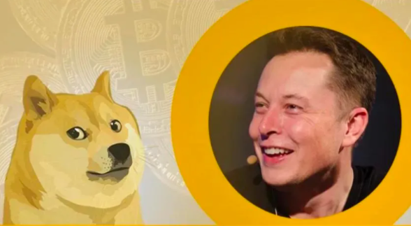 狗狗币还能涨吗?_狗狗币还能不能涨了