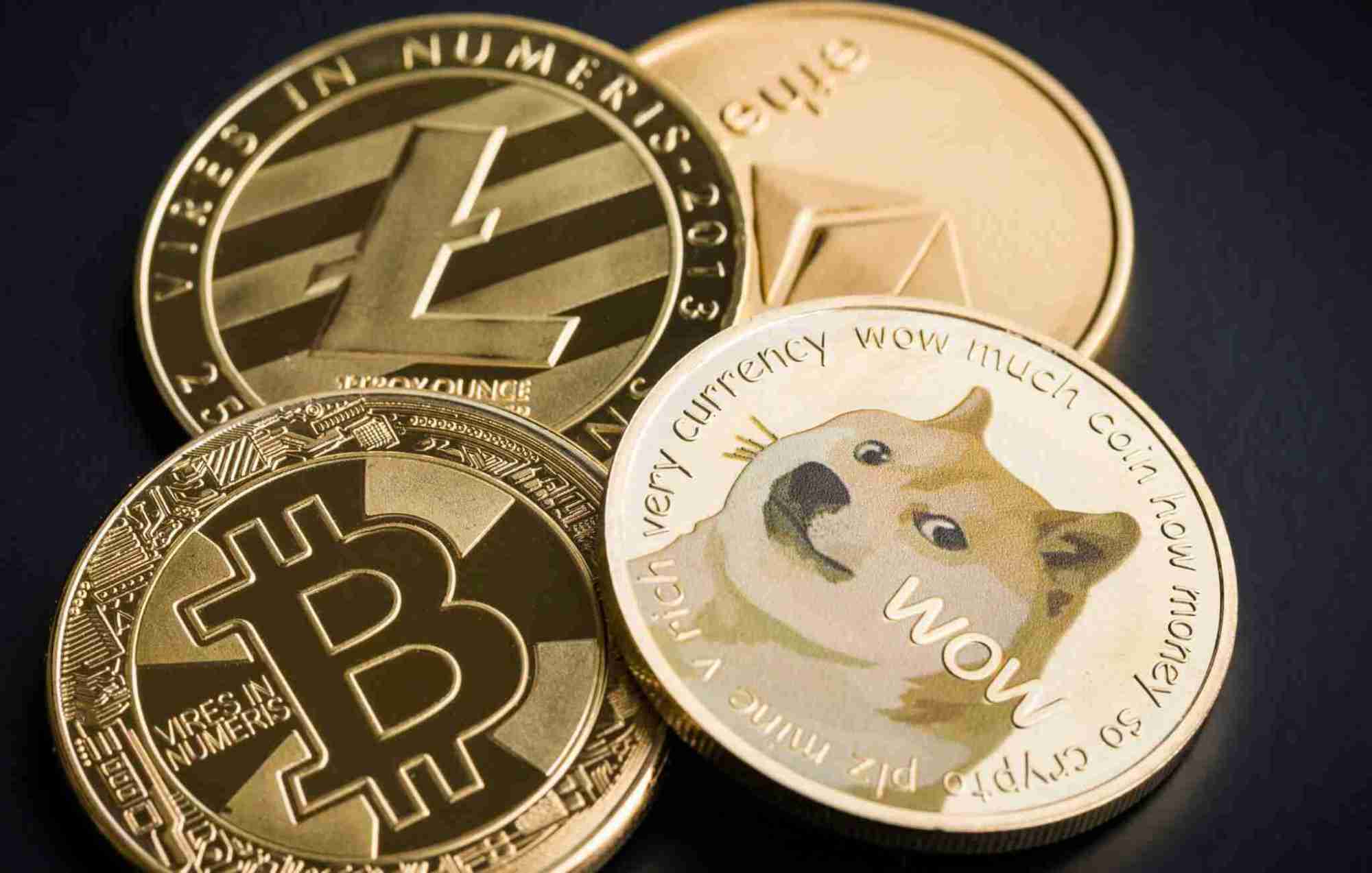 比特币钱包是什么样子的_比特币钱包是什么样子的图片