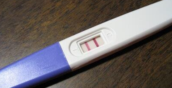 狗狗专用测孕纸准吗_狗狗专用测孕纸准确率多高