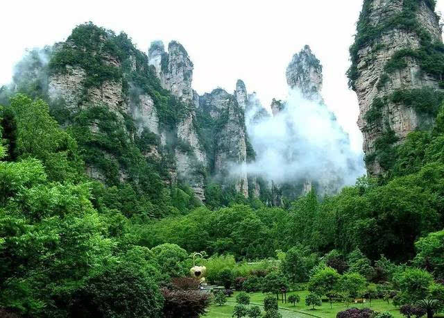 中国十大原始森林排名_中国十大原始森林排名榜