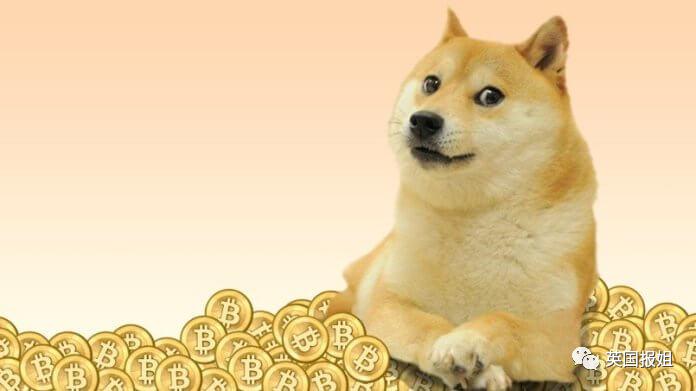 去哪里买狗狗币最安全_去哪里买狗狗币最安全可靠