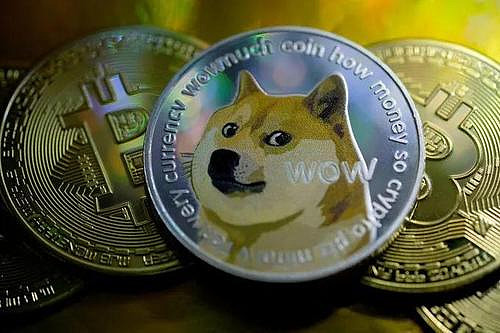 去哪里买狗狗币最安全的简单介绍