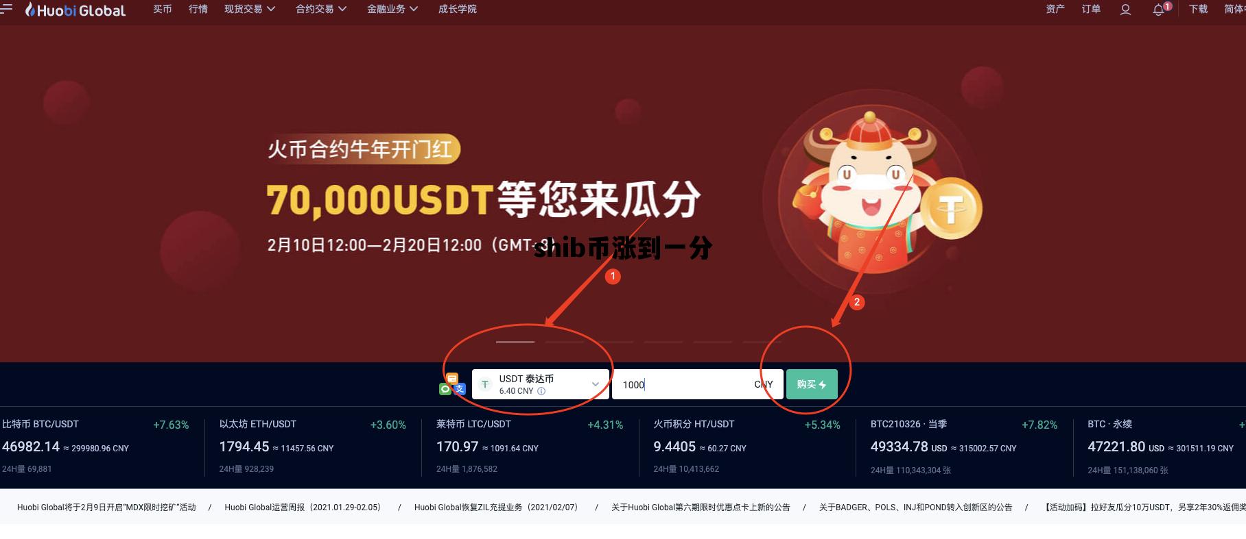 shib币涨到一分_shib币能涨1毛吗