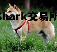 btcShark交易所app_btcshark交易所 正规吗