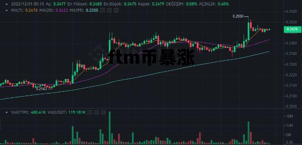 ftm币暴涨_FTM币怎么样