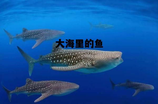 大海里的鱼_大海里的鱼图片