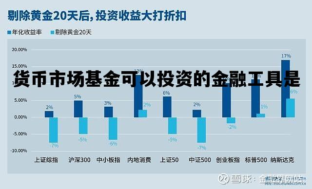 货币市场基金可以投资的金融工具是_货币市场基金也可以投资于资本市场工具