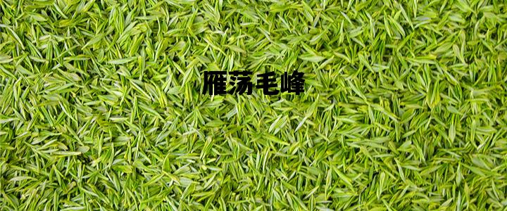 雁荡毛峰_雁荡毛峰茶多少钱一斤