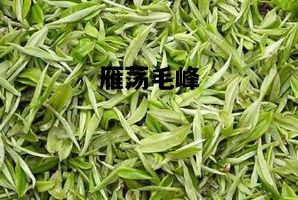 雁荡毛峰_雁荡毛峰茶多少钱一斤