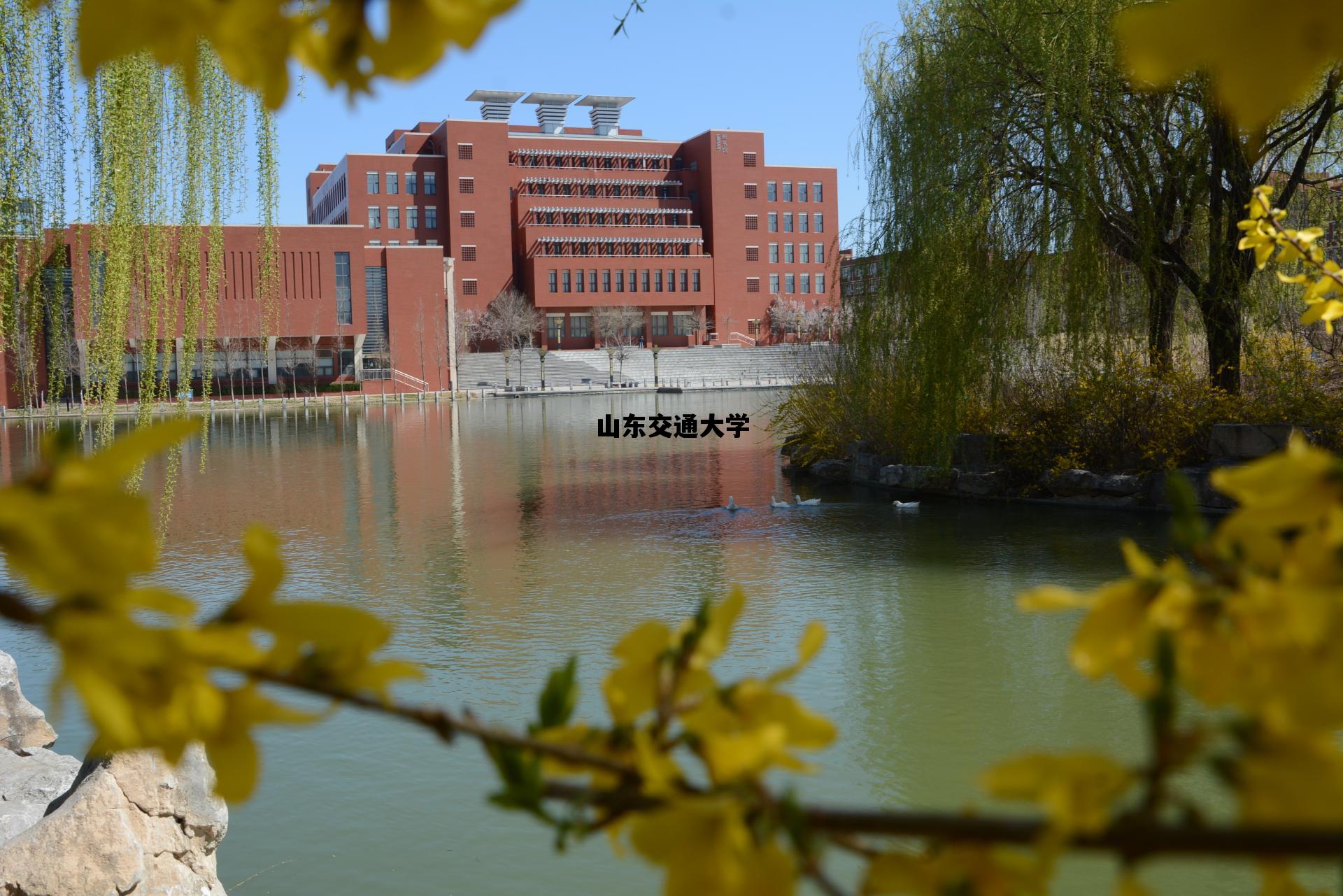 山东交通大学_山东交通大学2023年录取分数线