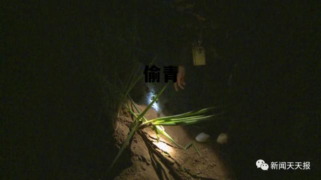 偷青_偷青菜是什么节日