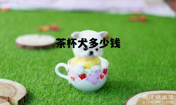 茶杯犬多少钱_茶杯犬多少钱一只幼崽20元以下