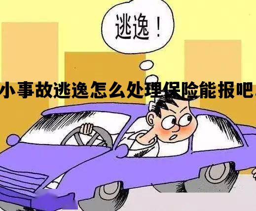 小事故逃逸怎么处理保险能报吧!_肇事逃逸主动报警后私了撤案能报保险吗