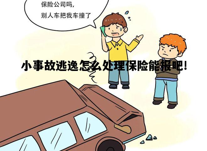 小事故逃逸怎么处理保险能报吧!_肇事逃逸主动报警后私了撤案能报保险吗