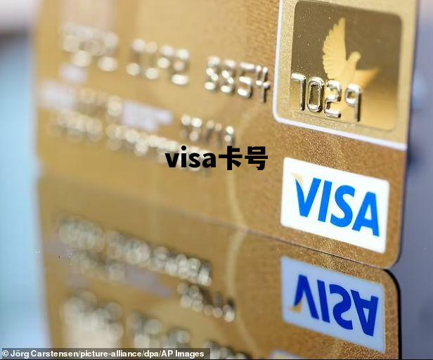visa卡号_visa卡号和cvv码大全