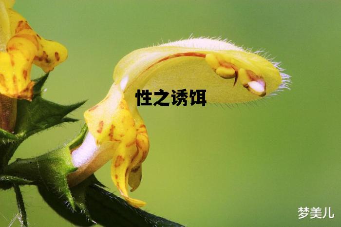 性之诱饵的简单介绍