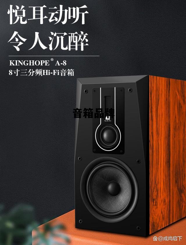 音箱品牌_中国音箱品牌