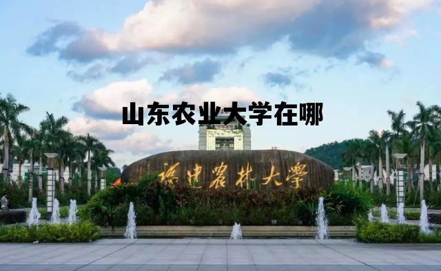 山东农业大学在哪_山东农业大学在哪里哪个城市