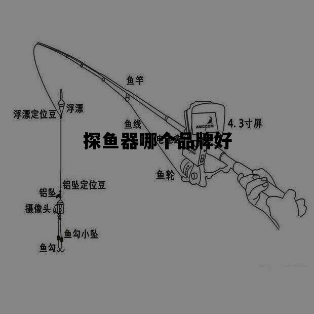 探鱼器哪个品牌好_水下摄像头探鱼器啥牌子好