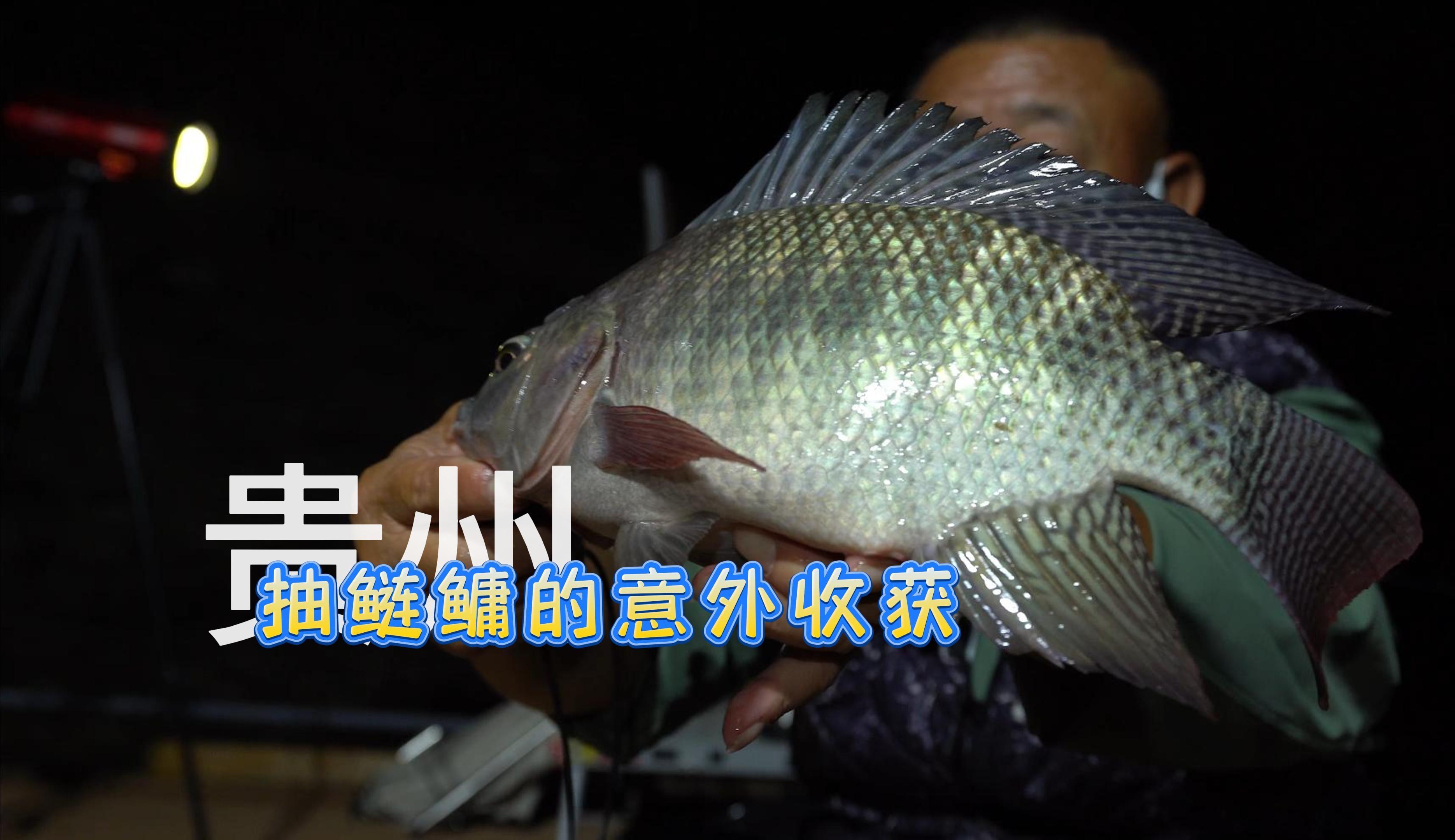 游钓中国全集_游钓中国钓鱼人