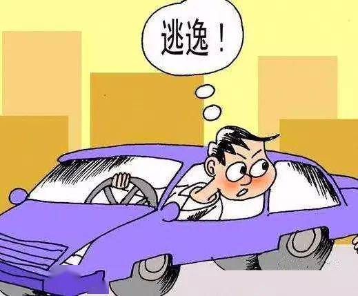 小事故逃逸怎么处理保险能报吧!_肇事逃逸主动报警后私了撤案能报保险吗