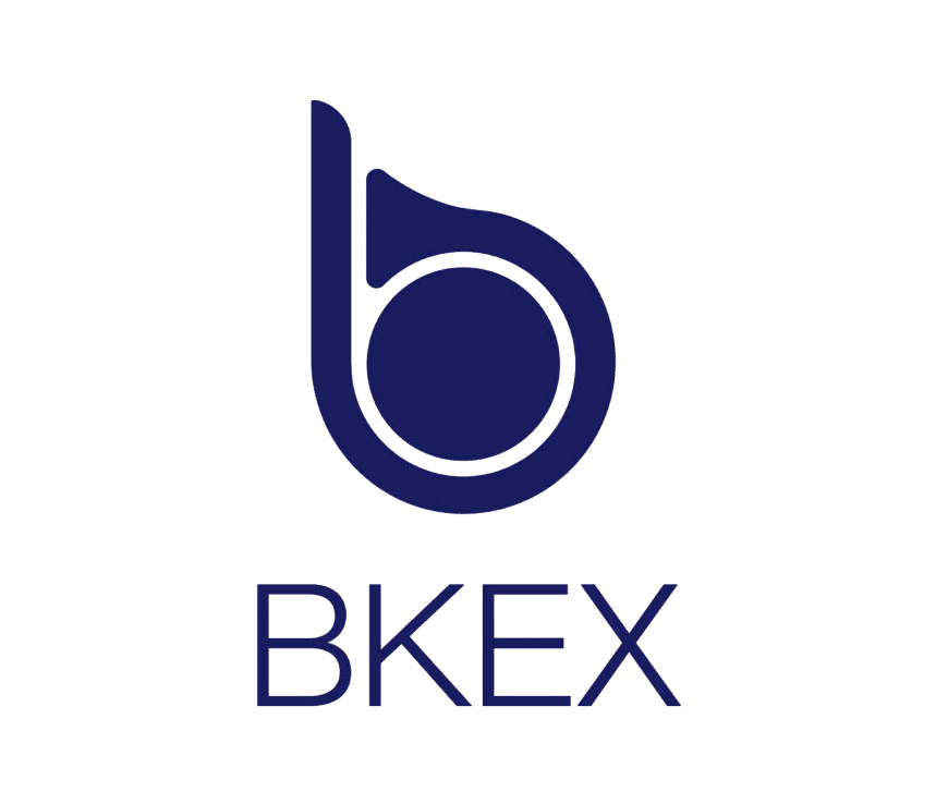 bkb是什么意思_bksb什么意思